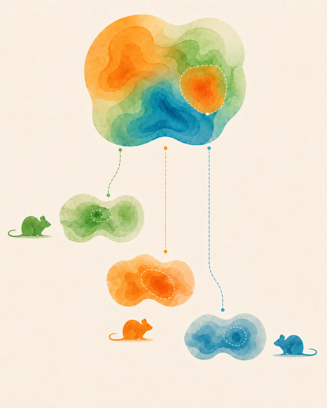 Neural foundation models