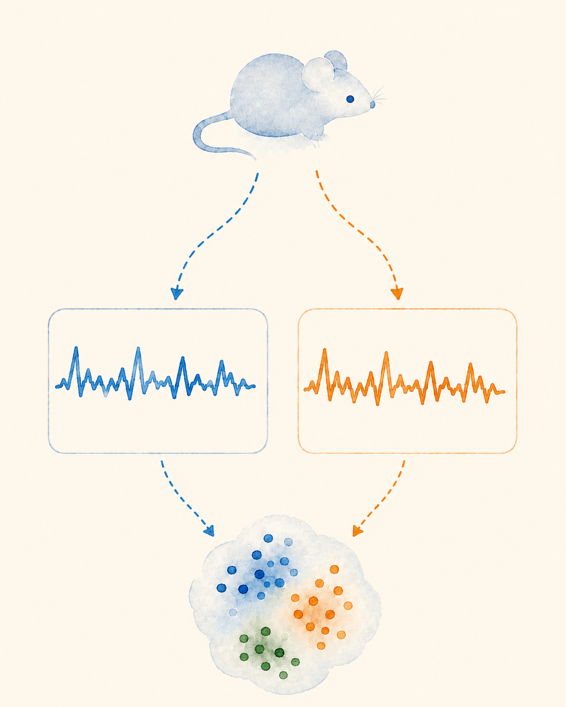 Self-supervised learning and behavior embeddings
